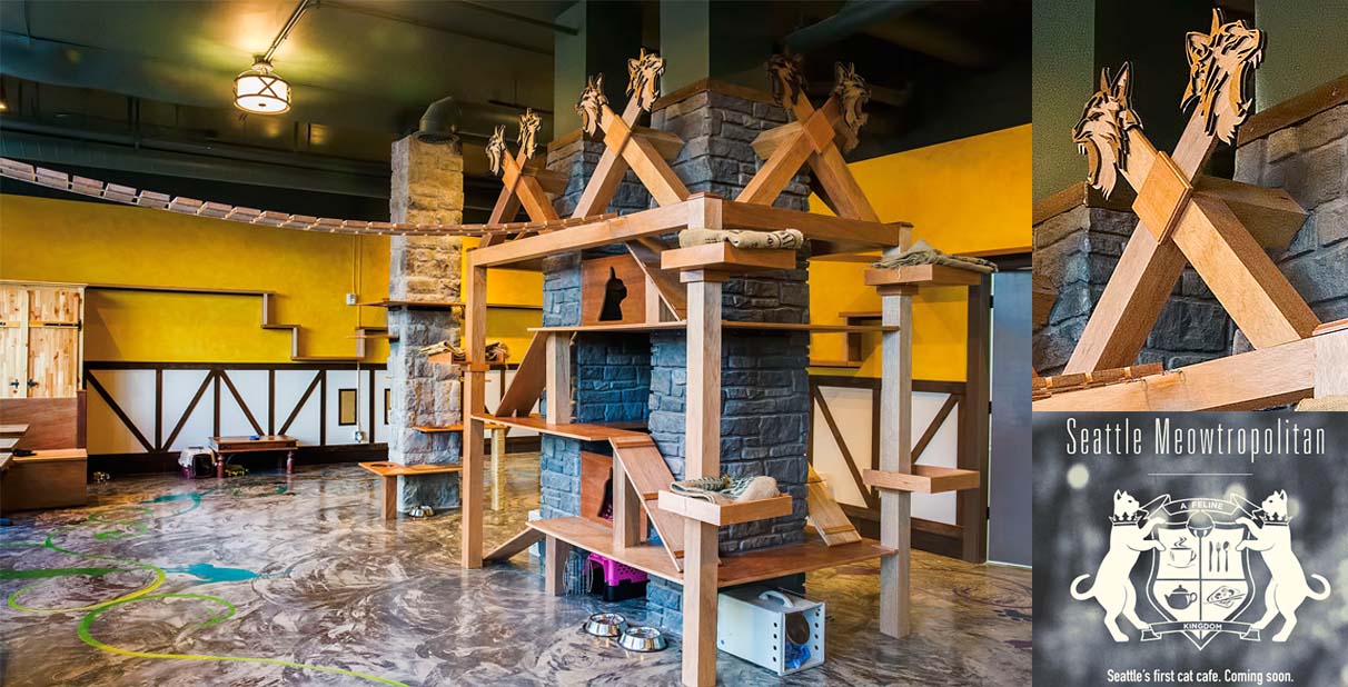 cat cafe design